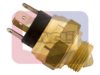 CITRO 0501310319 Switch, reverse light